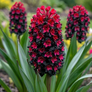 Гиацинт Джем Стоун купить по цене от 2099р. в интернет-магазине «Посадика» с доставкой почтой в в Колае и по всей России – [изображение №1].