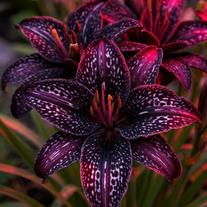 Лилейник Вояж купить по цене от 699р. в интернет-магазине «Посадика» с доставкой почтой в в Колае и по всей России – [изображение №1].